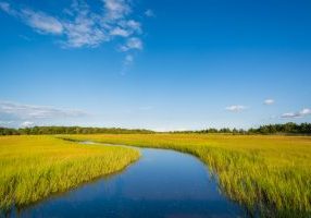 A scenic landscape featuring a winding river flowing through a grassy marshland under a clear blue sky with a few scattered clouds. The horizon is lined with trees in the distance in Egg Harbor Township, New Jersey.