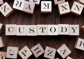 the word CUSTODY spelled out on wooden cubes surrounded by random alphabet wooden cubes