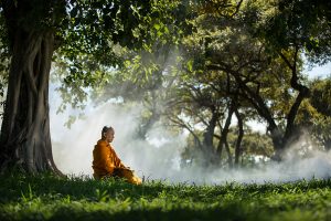 Buddhist monk meditating under a tree at Ayutthaya,buddhist temple in Thailand
